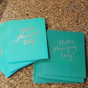 28 HELLO AMAZING DAY SCHOOL FOLDERS GREEN SILVER GOLD Pink Light Design Crafts